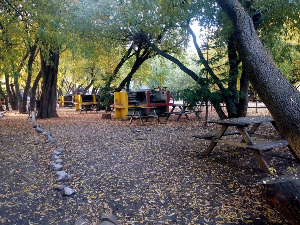 Camping Y Hostal El Ovejero El Calafate Exterior photo